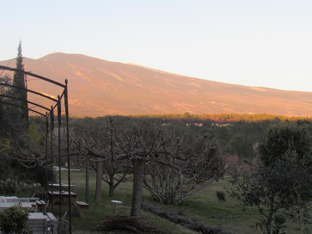 Residence De Gites La Sidoine Du Mont-Ventoux Crillon-le-Brave Exterior foto